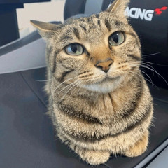 первоклассница убица