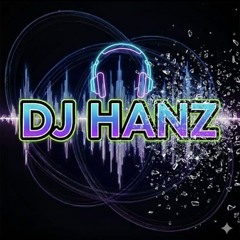 hansdezeeuw24@gmail.com