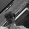 sam vine