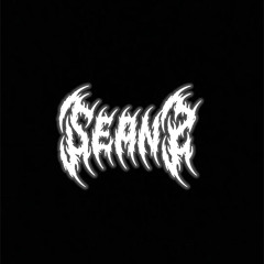 who_tf_is_seanx?