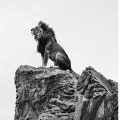 3daO_