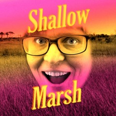 Shallow Marsh