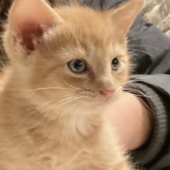 Lala