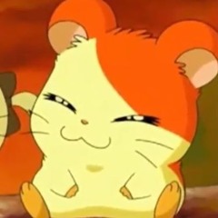 hamtaros