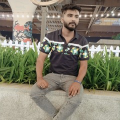 Anas Afzal