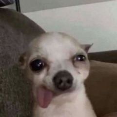 khò khò