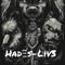 HadΞs-Liv3