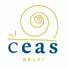 Ceasbelvi