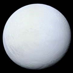 3232