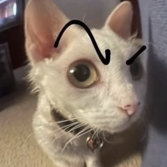 yo mumlol