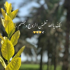 عزيزة محمود