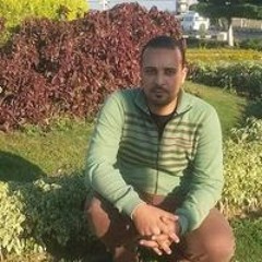 Mohamed Khalifa Deiwidar