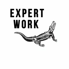 Expert Work