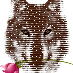 DOUCEUR FOX