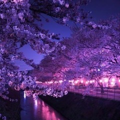 Wrong number but call me