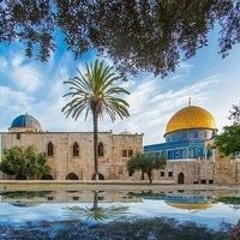 مراد الحادر