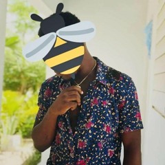 Tyganel Laurent🎧♟