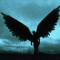 angelstray