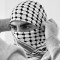 Ali Hammoud