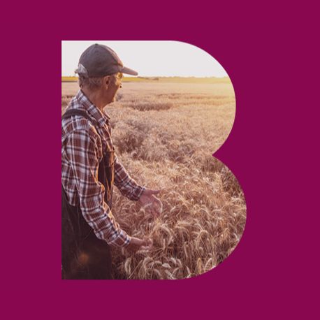 Profarmer Australia Market Wrap