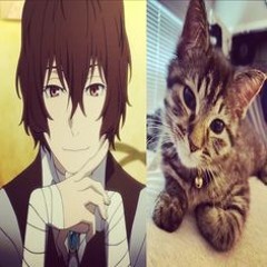 ⊹🖇🎧☆