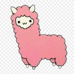 Potato the llama