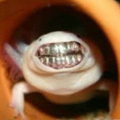 Kevin420highlife