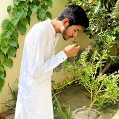 Ali khan 572