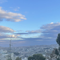 אלחנן גדליה