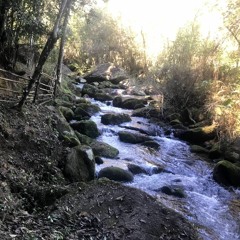 Cleuma