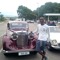 Carrington jungolah