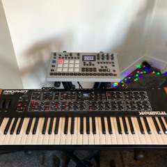 Rory Fleming-stewart