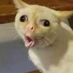 mioclient.me