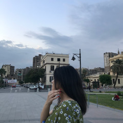 Salma H. Elgabry