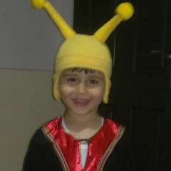 Bulut