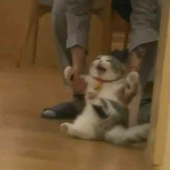 ma._.hin