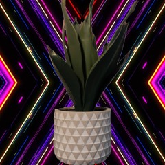 ΘCAKAPINΘ