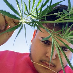 Isaac Corñelius Bilzerian