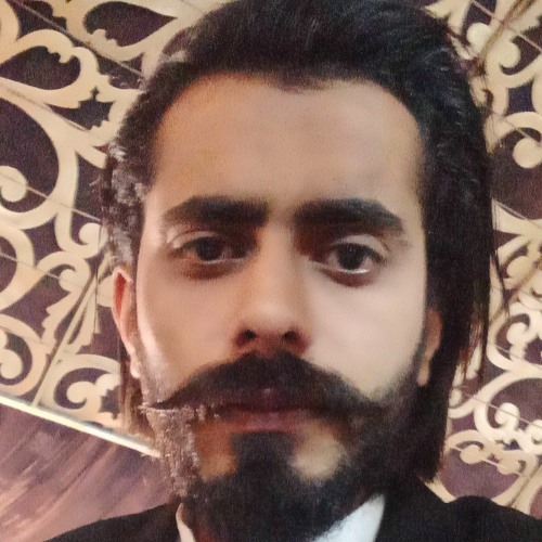 Malik Ali Reza’s avatar