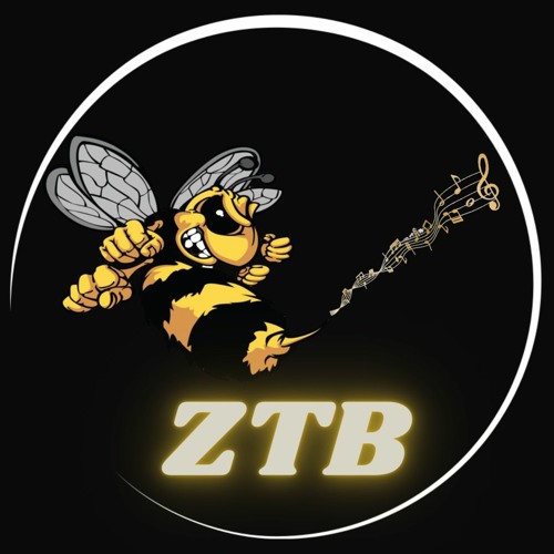 Zero Tolerance Band *ZTB*’s avatar