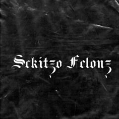 Sckitzo Felonz-Dirty Work