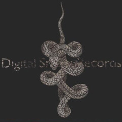 Digital Snakes