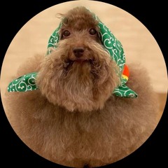 *•̩̩͙✩•̩̩͙*˚𝒂𝒓𝒊𝒊𝒊  ˚*•̩̩͙✩•̩̩͙*˚