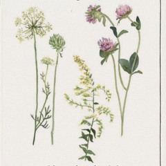 phannh ʕ•ᴥ•ʔ