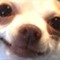 Luis_girl_