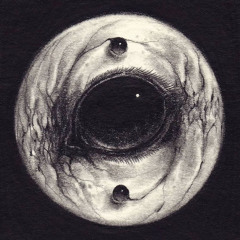 cultwavex