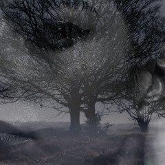 beverly_77