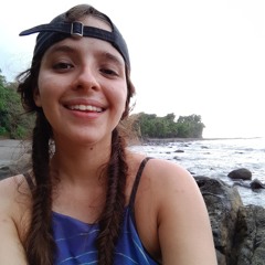 mandi_muscaria