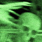 HolewelcomƏ