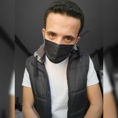Mostafa H Habib